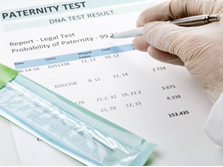 Wheaton, IL paternity lawyer